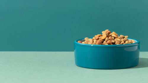 Nova geração de antifúngicos traz mais proteção para o pet food