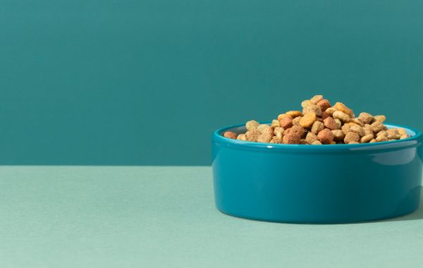 Nova geração de antifúngicos traz mais proteção para o pet food Nova geração de antifúngicos traz mais proteção para o pet food