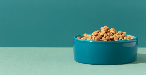 Nova geração de antifúngicos traz mais proteção para o pet food