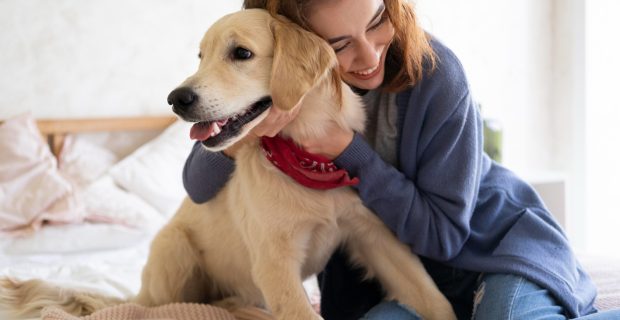 cachorros domésticos