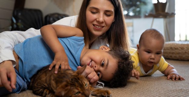 familia e os pets