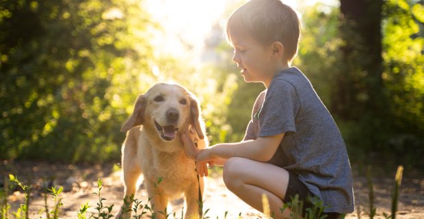 Dicas auxiliam a boa convivência entre cães e crianças