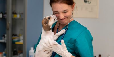 CRMV-SP se manifesta em apoio ao trabalho veterinário voluntário