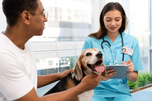 Dia Mundial das Zoonoses: Prevenção e informação reduzem os riscos das zoonoses no dia a dia