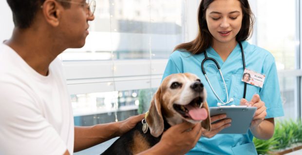 Dia Mundial das Zoonoses: Prevenção e informação reduzem os riscos das zoonoses no dia a dia