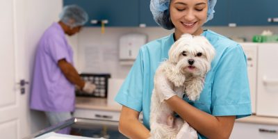 Programa capacita novos veterinários e reforça a importância da nutrição especializada