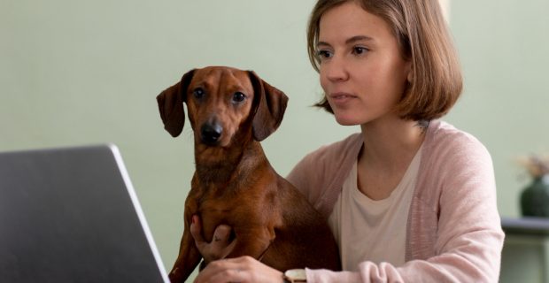 Plataforma da Royal Canin oferece descontos para tutores de pets
