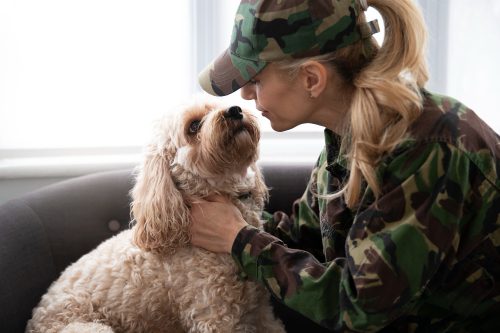 Militar cachorro