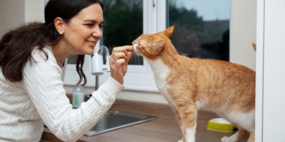 mulher cuidando de gato