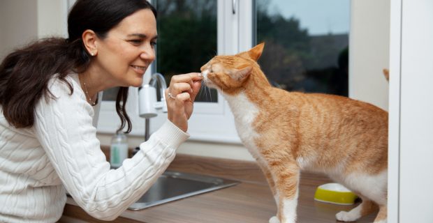 mulher cuidando de gato