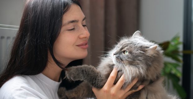 gato e dono