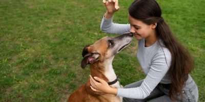 Veterinária lista dicas para aplicar o reforço positivo com o seu pet