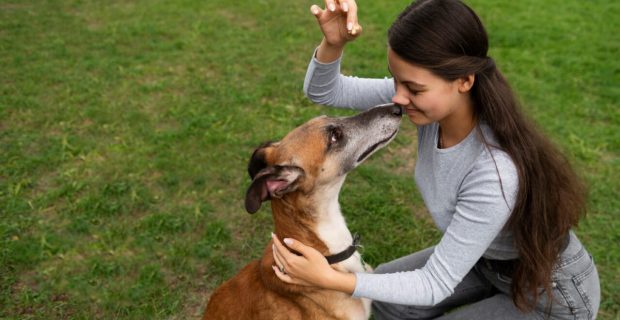 Veterinária lista dicas para aplicar o reforço positivo com o seu pet