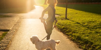 passeando com cão