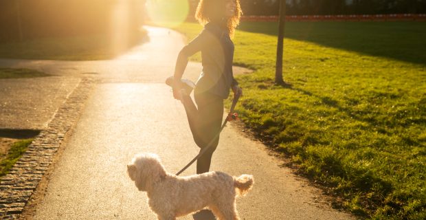 passeando com cão