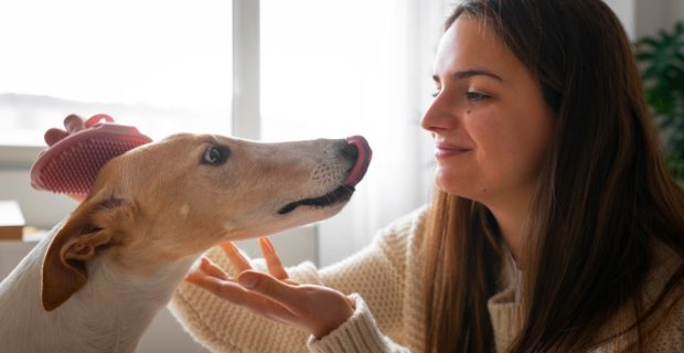Você sabe como o cão reconhece o tutor?
