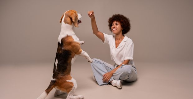 IFSP promove palestra sobre comunicação em língua de sinais com cães surdos
