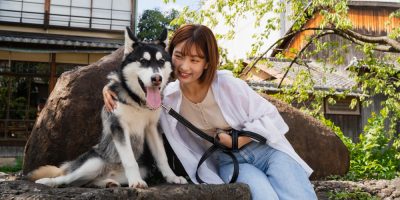 Levantamento mostra que no Japão há mais cães e gatos do crianças menores de 16 anos