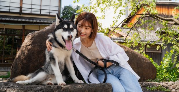 Levantamento mostra que no Japão há mais cães e gatos do crianças menores de 16 anos