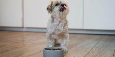 nutrição