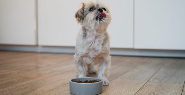 nutrição