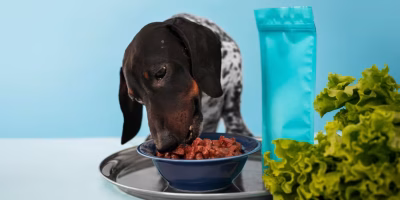 Pet food natural
