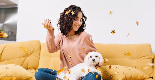 Especialista dá dicas para curtir as festas com o seu pet