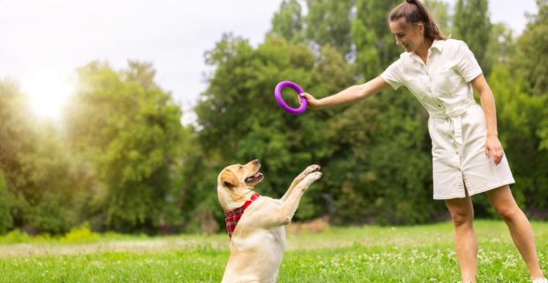 Estudo comprova que brincar 15 minutos com um cão alivia o estresse em humanos