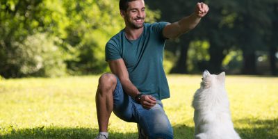 Treinamento com reforço positivo para pets se torna uma opção para os tutores