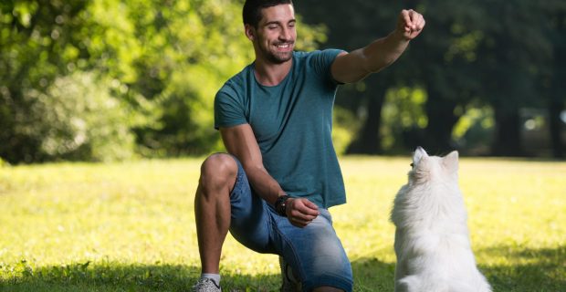 Treinamento com reforço positivo para pets se torna uma opção para os tutores