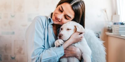 abraço cachorro