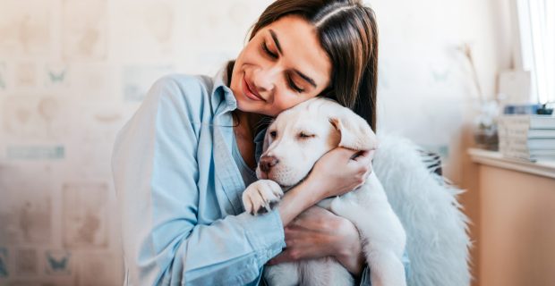 abraço cachorro