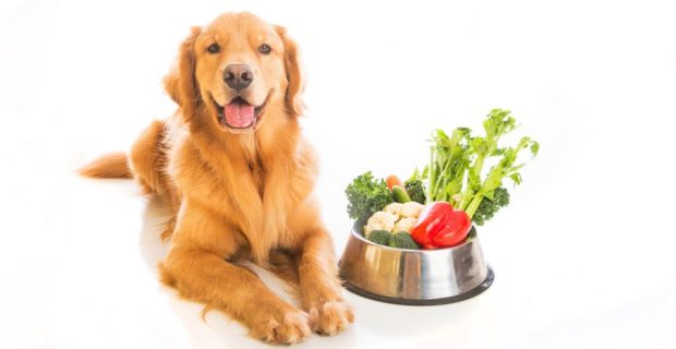 27.08_FISIO.BLOG_Obesidade_alimentacao-natural-1140x467 (1)