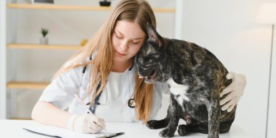 Prazo para entrega de prontuários médicos-veterinários muda para cinco dias úteis