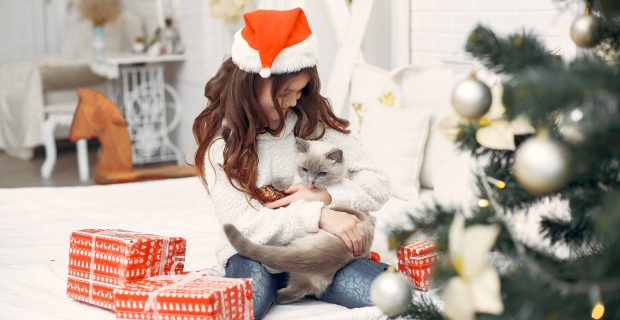 Pets são presente de Natal? Veterinária reflete sobre o tema