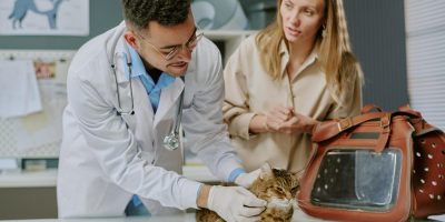 Veterinário orienta sobre a importância de vermifugar cães e gatos