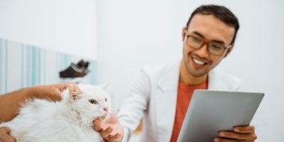 Consulta pública sobre publicidade em Medicina Veterinária e Zootecnia é prorrogada