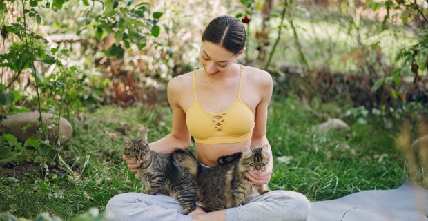 Yoga com gatos traz benefícios para humanos e bichanos