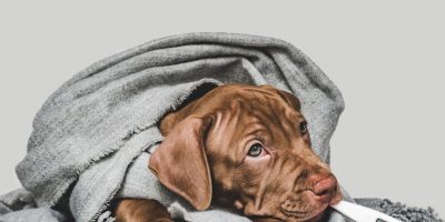frio.jpg