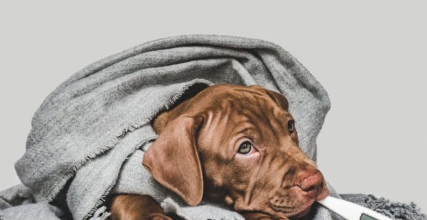 frio.jpg