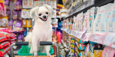 cachorro pet shop