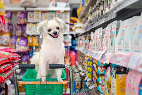 cachorro pet shop