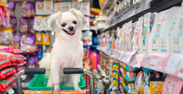 cachorro pet shop