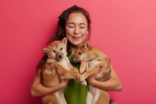 pets.jpg