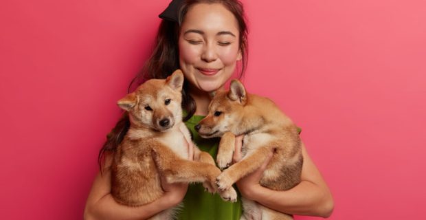 pets.jpg