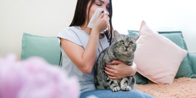 É possível humanos e pets conviverem mesmo com alergias?