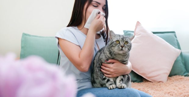 É possível humanos e pets conviverem mesmo com alergias?