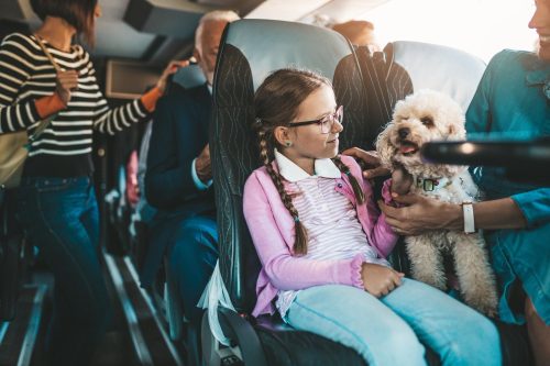Menina andando de ônibus junto com cachorro