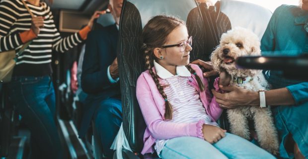 Menina andando de ônibus junto com cachorro