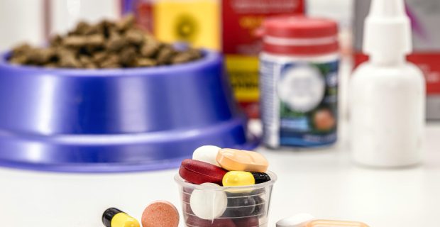 CFMV reforça a importância do uso responsável de antimicrobianos